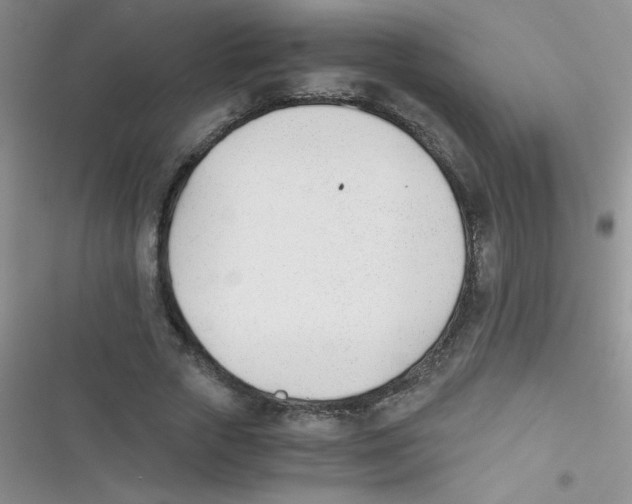 X0000116390729201001131829