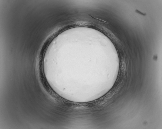 X0000116390730201001131829
