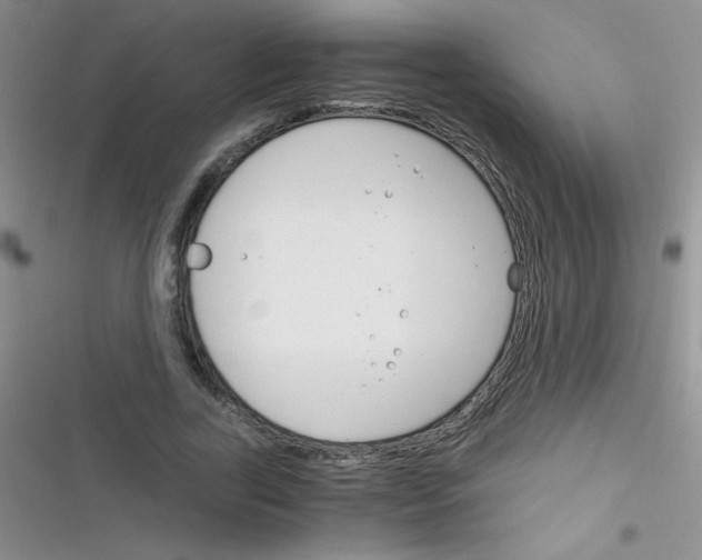 X0000116390731201001131829