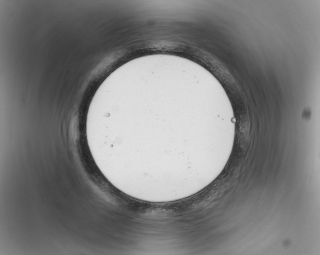 X0000116390734201001131829