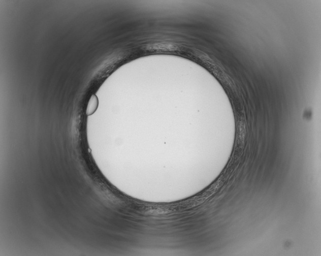 X0000116390735201001131829