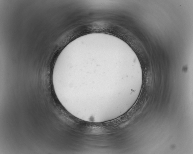 X0000116390737201001131829