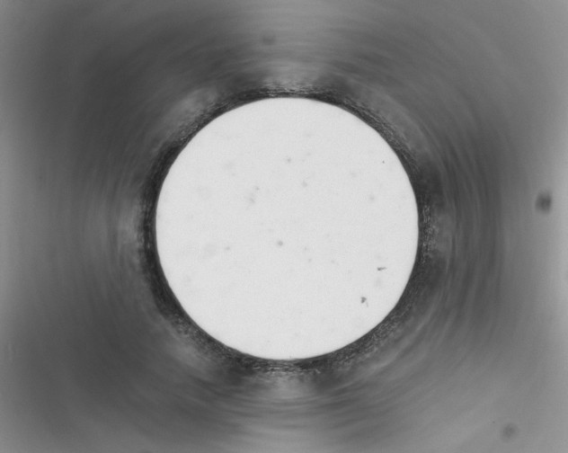 X0000116390738201001131829