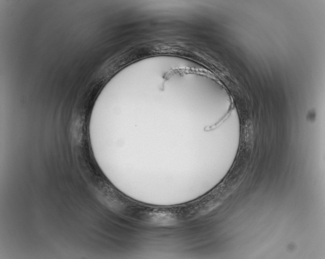 X0000116390741201001131829