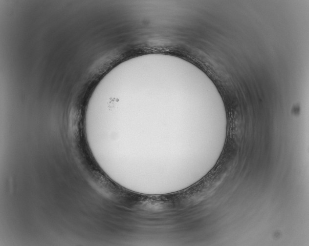 X0000116390742201001131829