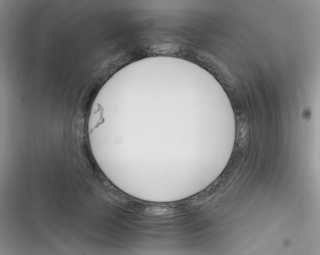 X0000116390745201001131829