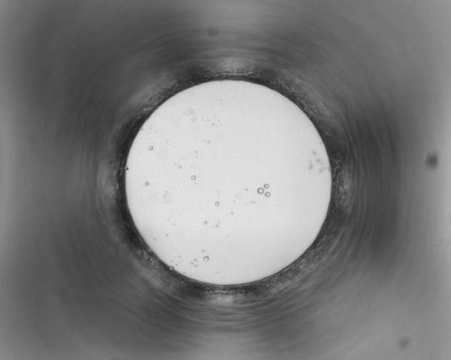X0000116390746201001131829