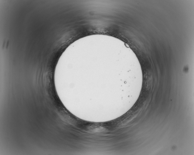 X0000116390747201001131829