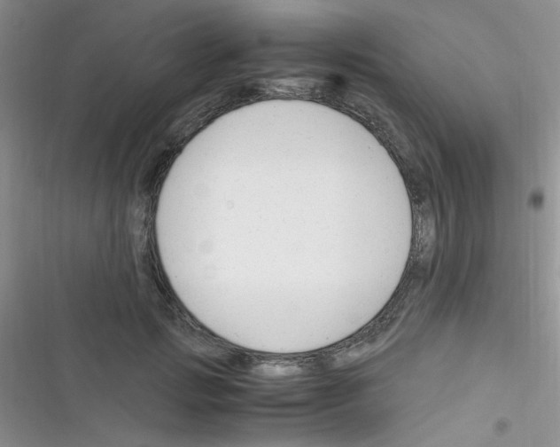 X0000116390749201001131829