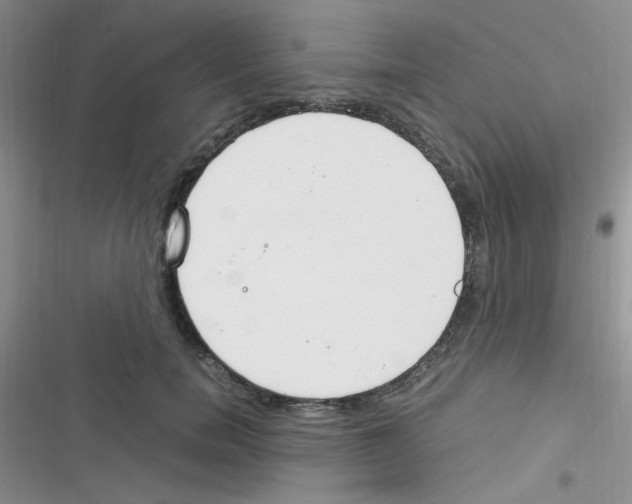 X0000116390750201001131829