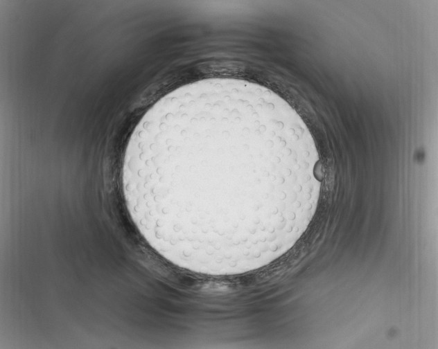 X0000116390751201001131829