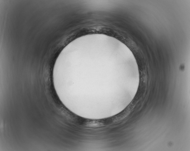 X0000116390754201001131829