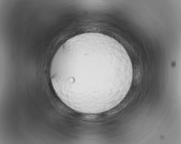 X0000116390758201001131830
