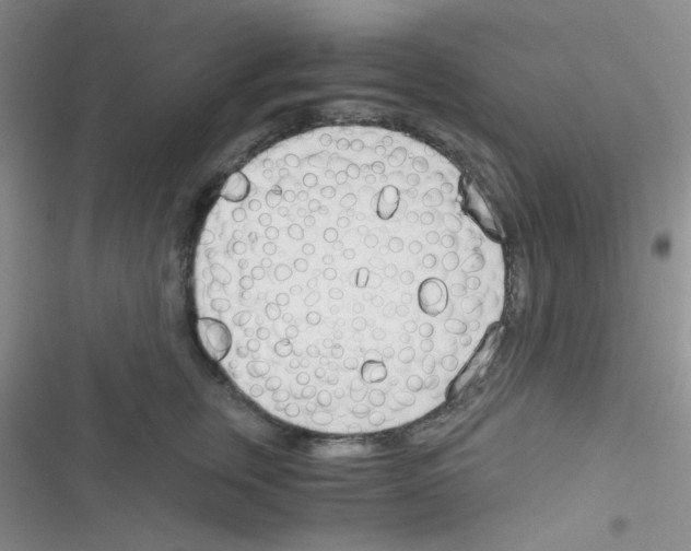 X0000116390759201001131830