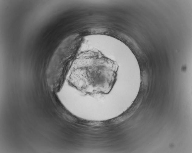 X0000116390761201001131830