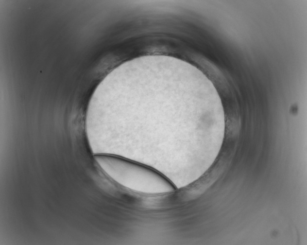 X0000116390766201001131830