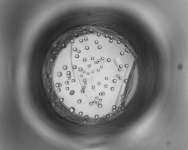 X0000116390767201001131830