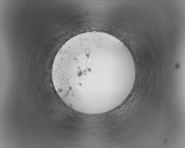 X0000116390769201001131829