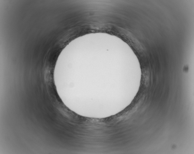 X0000116390770201001131829