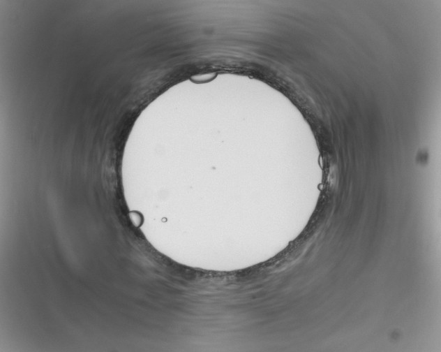 X0000116390771201001131829