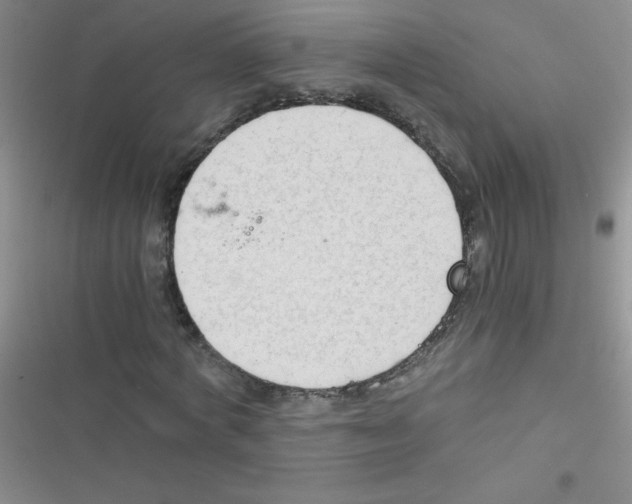 X0000116390772201001131829