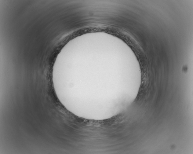 X0000116390773201001131829