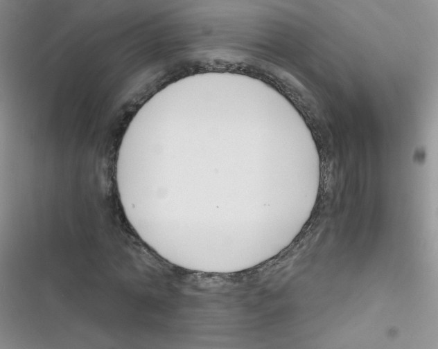 X0000116390774201001131829