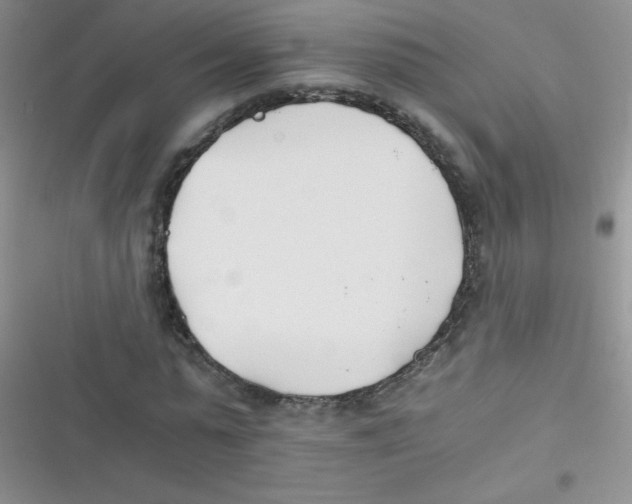 X0000116390775201001131829