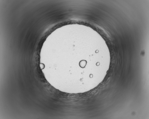 X0000116390776201001131829