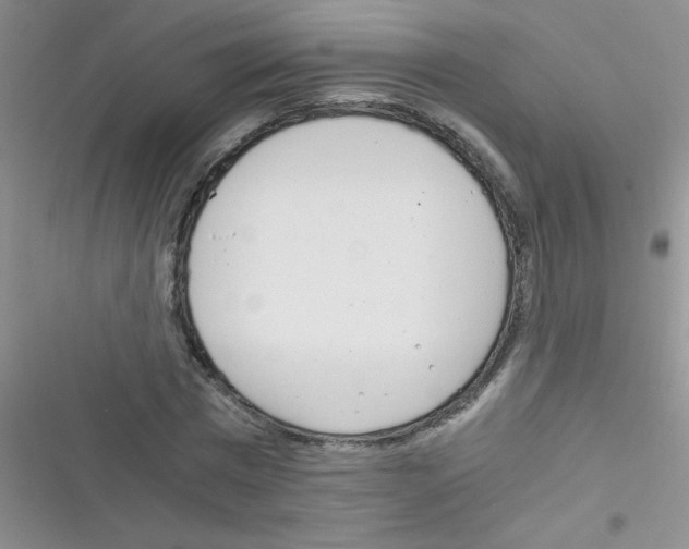 X0000116390777201001131829