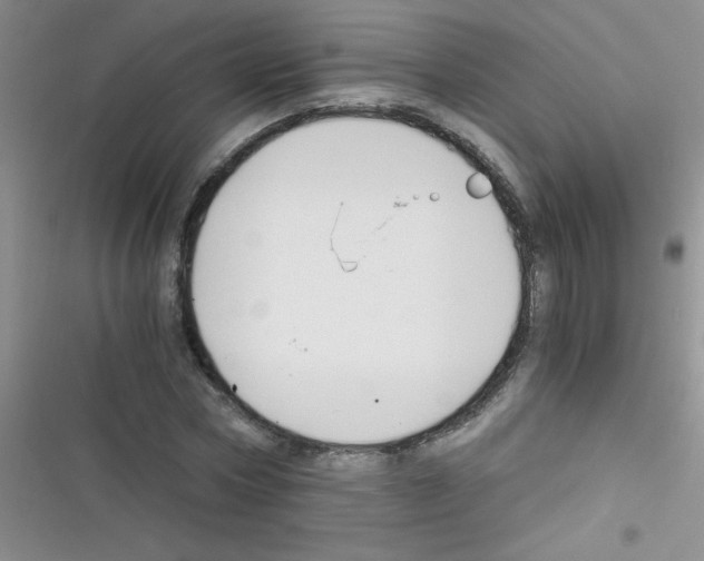 X0000116390778201001131829