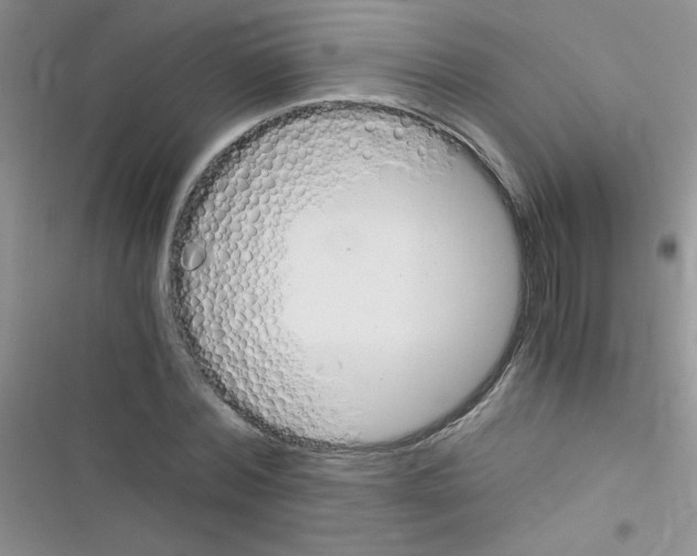 X0000116390780201001131829