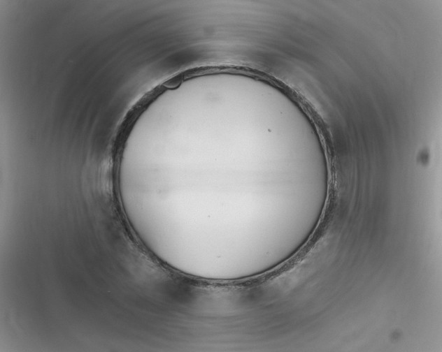 X0000116390781201001131829