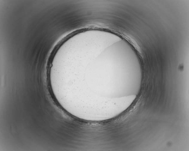 X0000116390784201001131829