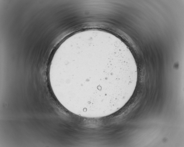 X0000116390786201001131829