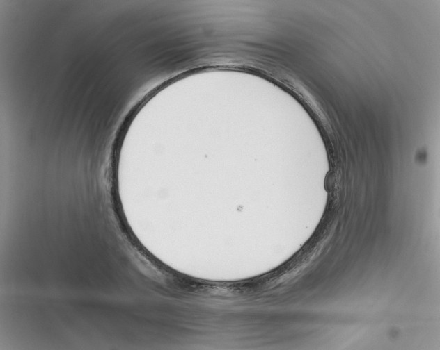 X0000116390787201001131829