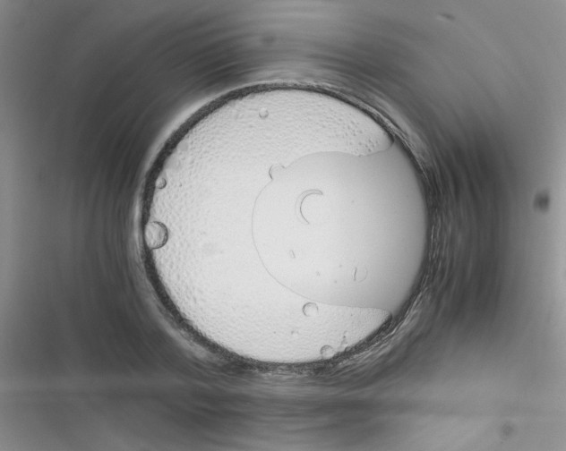 X0000116390788201001131829
