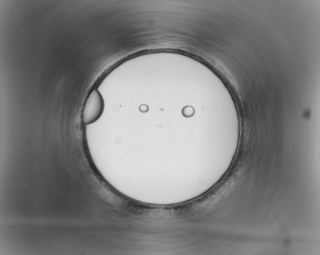 X0000116390789201001131829