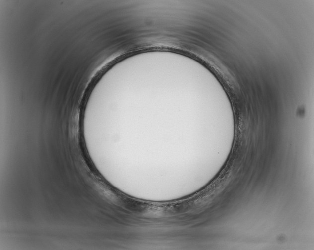 X0000116390790201001131829