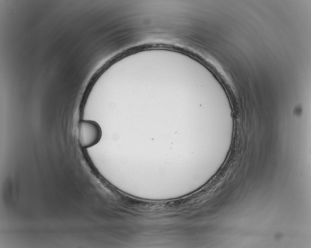 X0000116390791201001131829