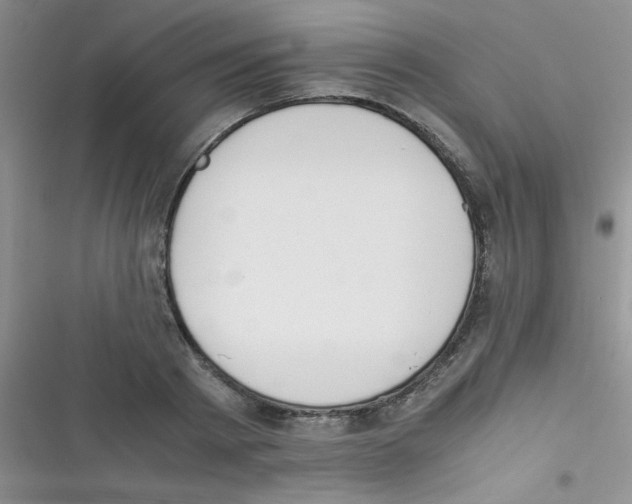 X0000116390793201001131829