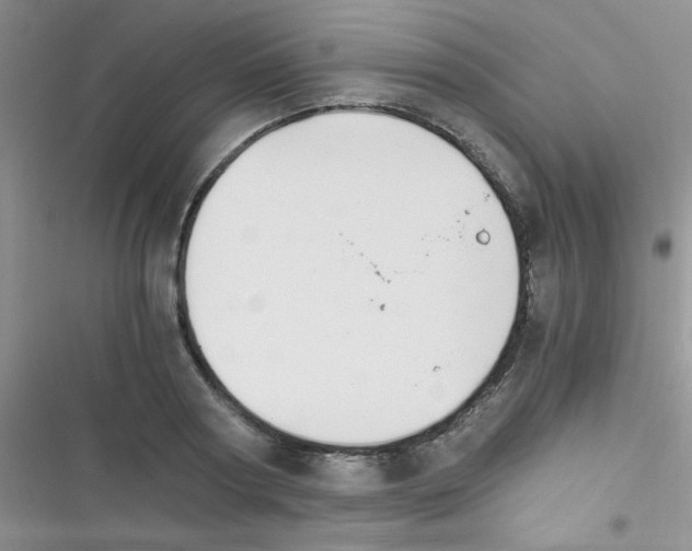 X0000116390794201001131829