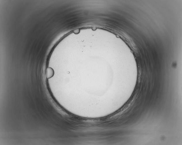 X0000116390796201001131829