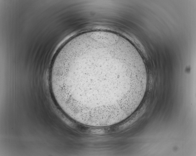 X0000116390798201001131829