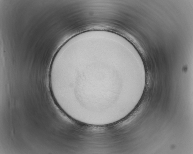 X0000116390802201001131829