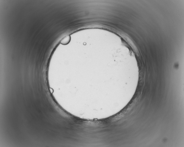 X0000116390805201001131829