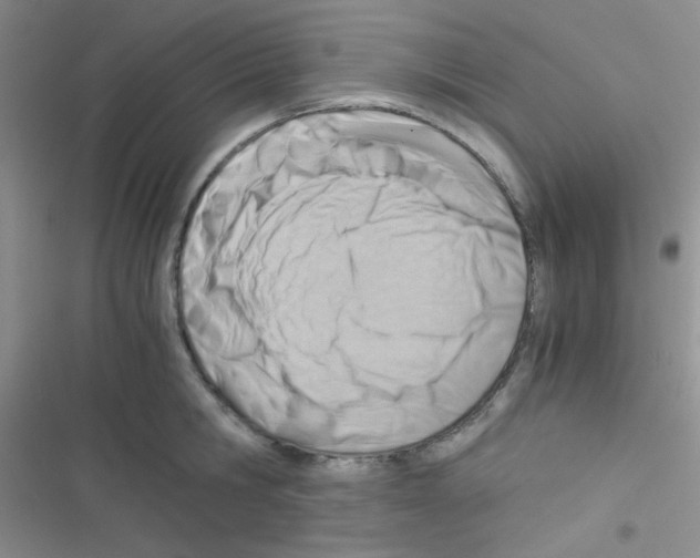 X0000116390806201001131828