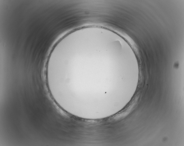 X0000116390807201001131828