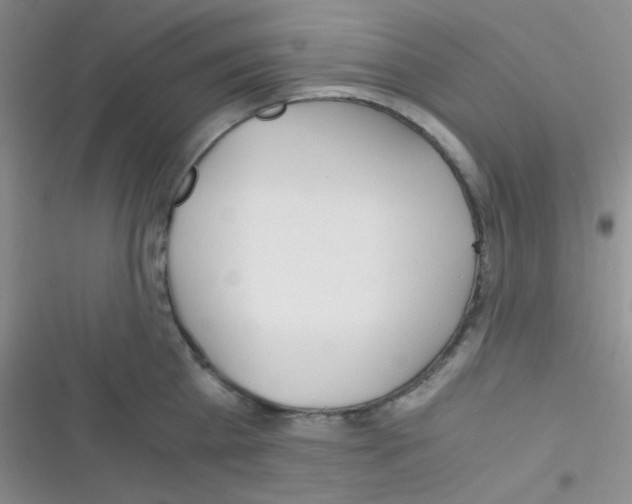 X0000116390809201001131828