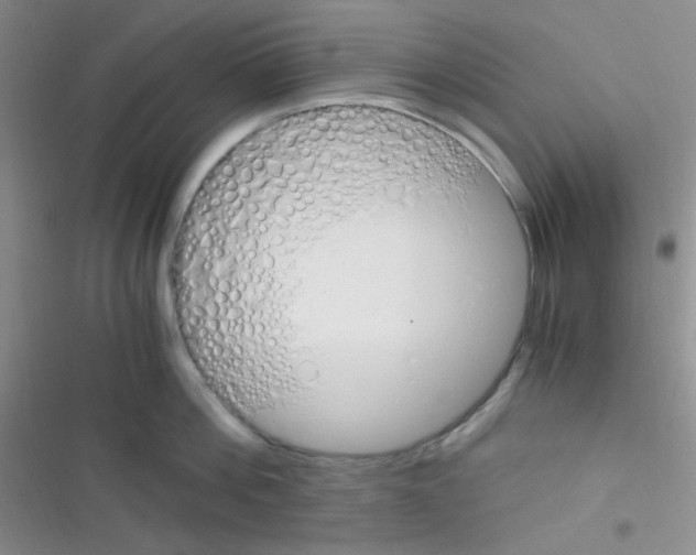 X0000116390812201001131828